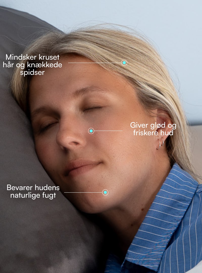 100% Mulberry Silke Pudebetræk (OEKO-TEX) Sort